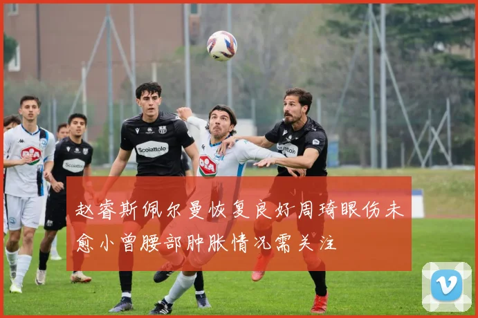 赵睿斯佩尔曼恢复良好周琦眼伤未愈小曾腰部肿胀情况需关注
