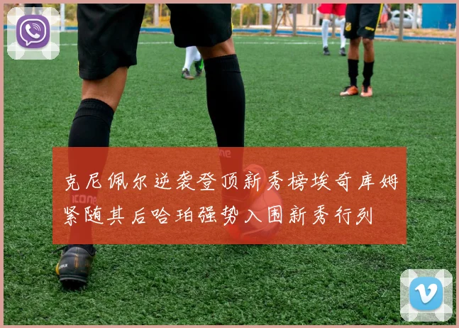 克尼佩尔逆袭登顶新秀榜埃奇库姆紧随其后哈珀强势入围新秀行列